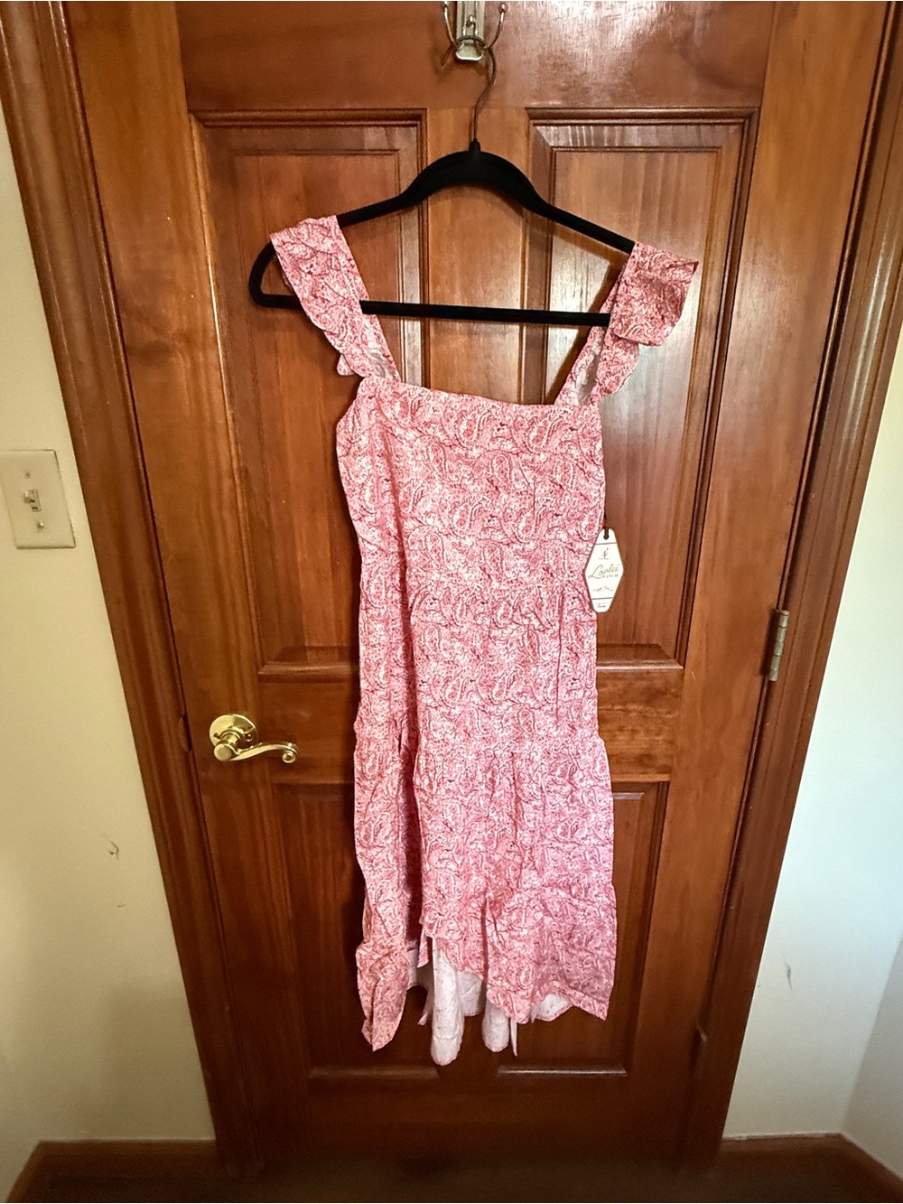 NWT in Plastic Asymmetrical Pink Paisley Ruffle Dress